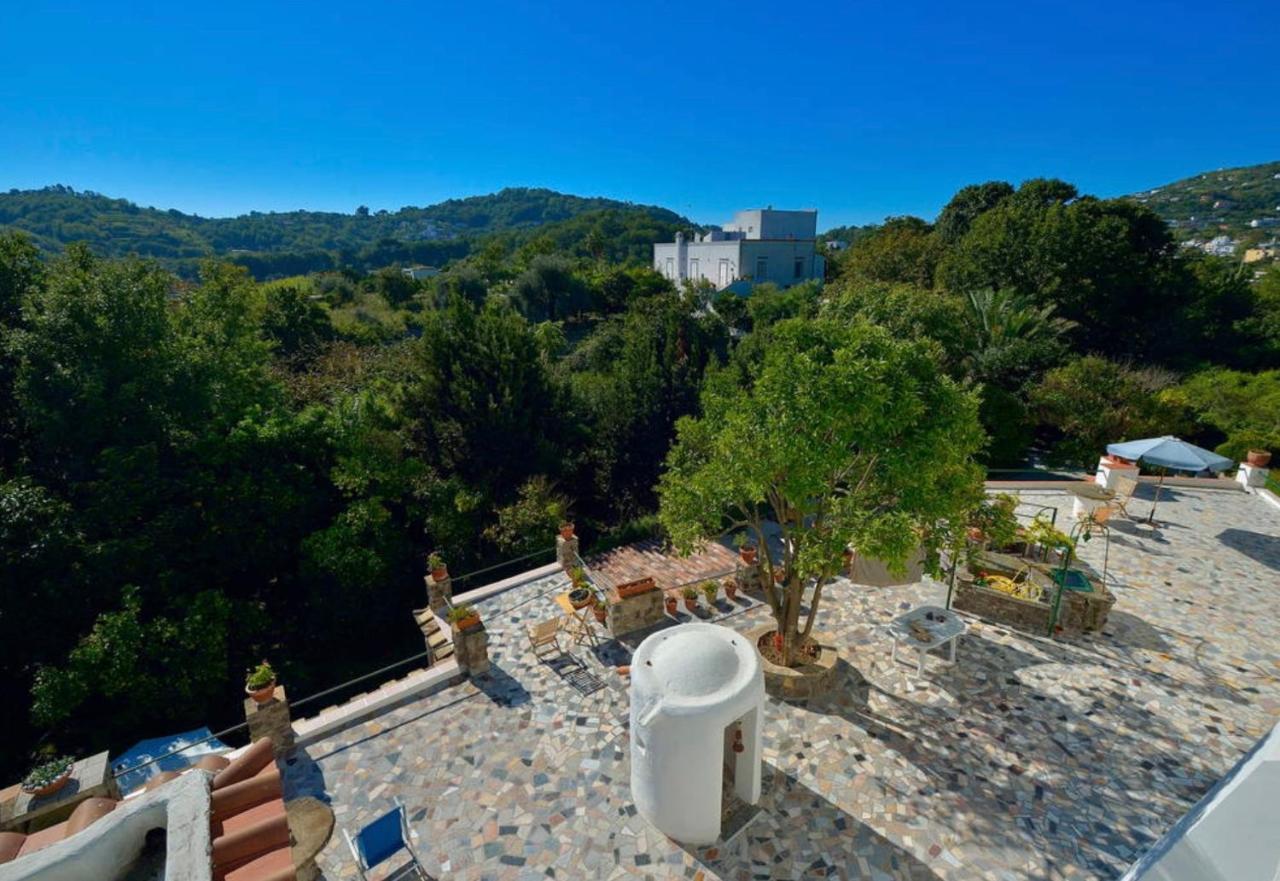 Villa Vincenzo Di Meglio Barano d'Ischia Екстер'єр фото