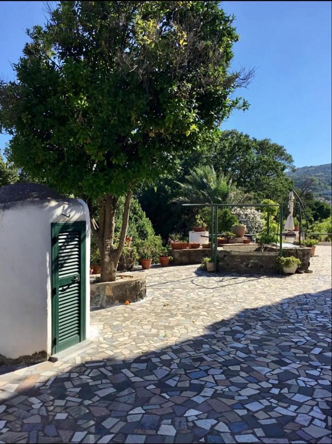 Villa Vincenzo Di Meglio Barano d'Ischia Екстер'єр фото