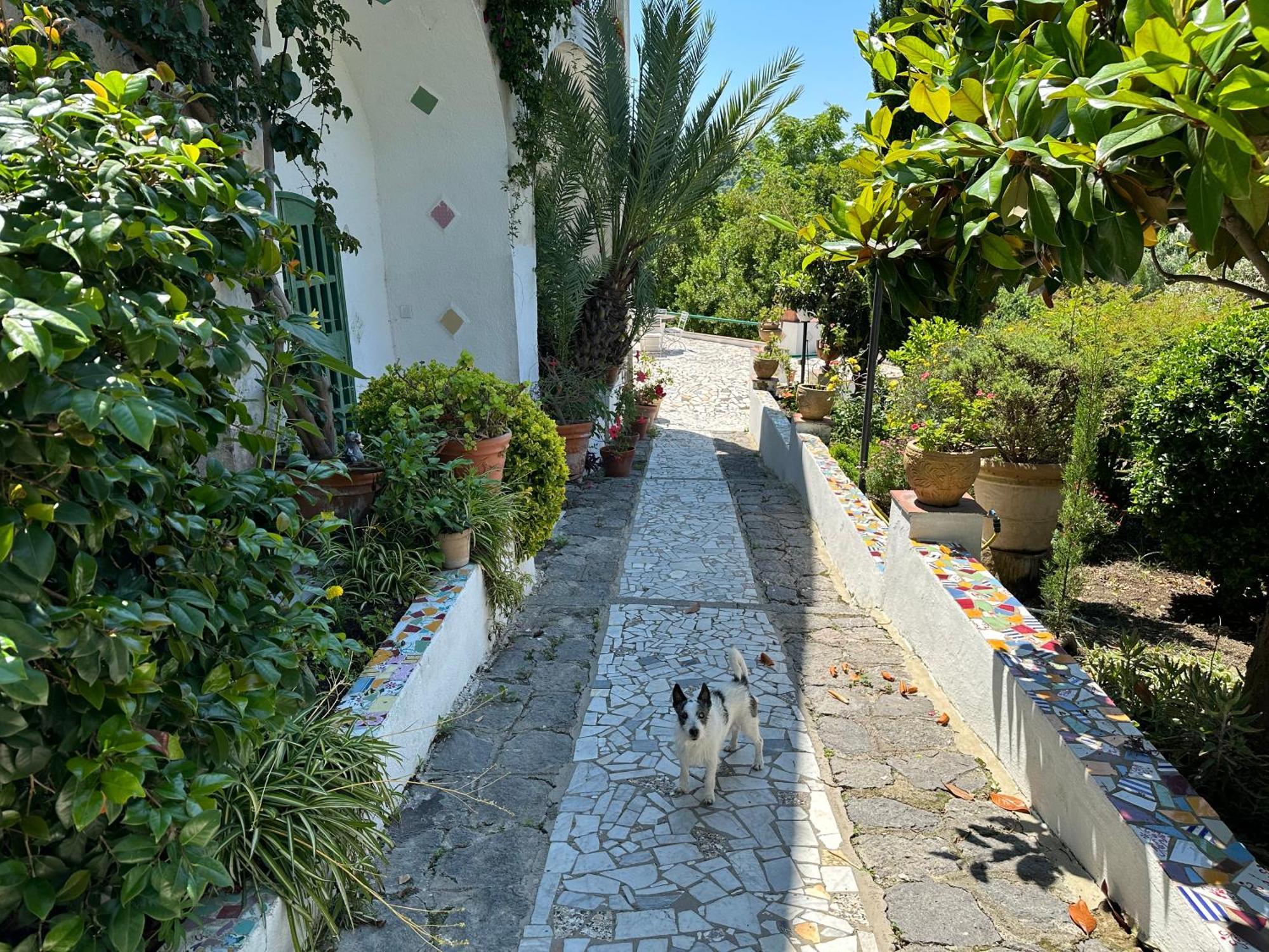 Villa Vincenzo Di Meglio Barano d'Ischia Екстер'єр фото