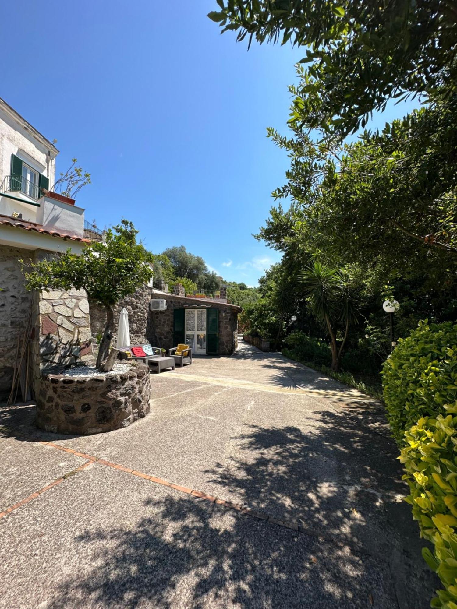 Villa Vincenzo Di Meglio Barano d'Ischia Екстер'єр фото