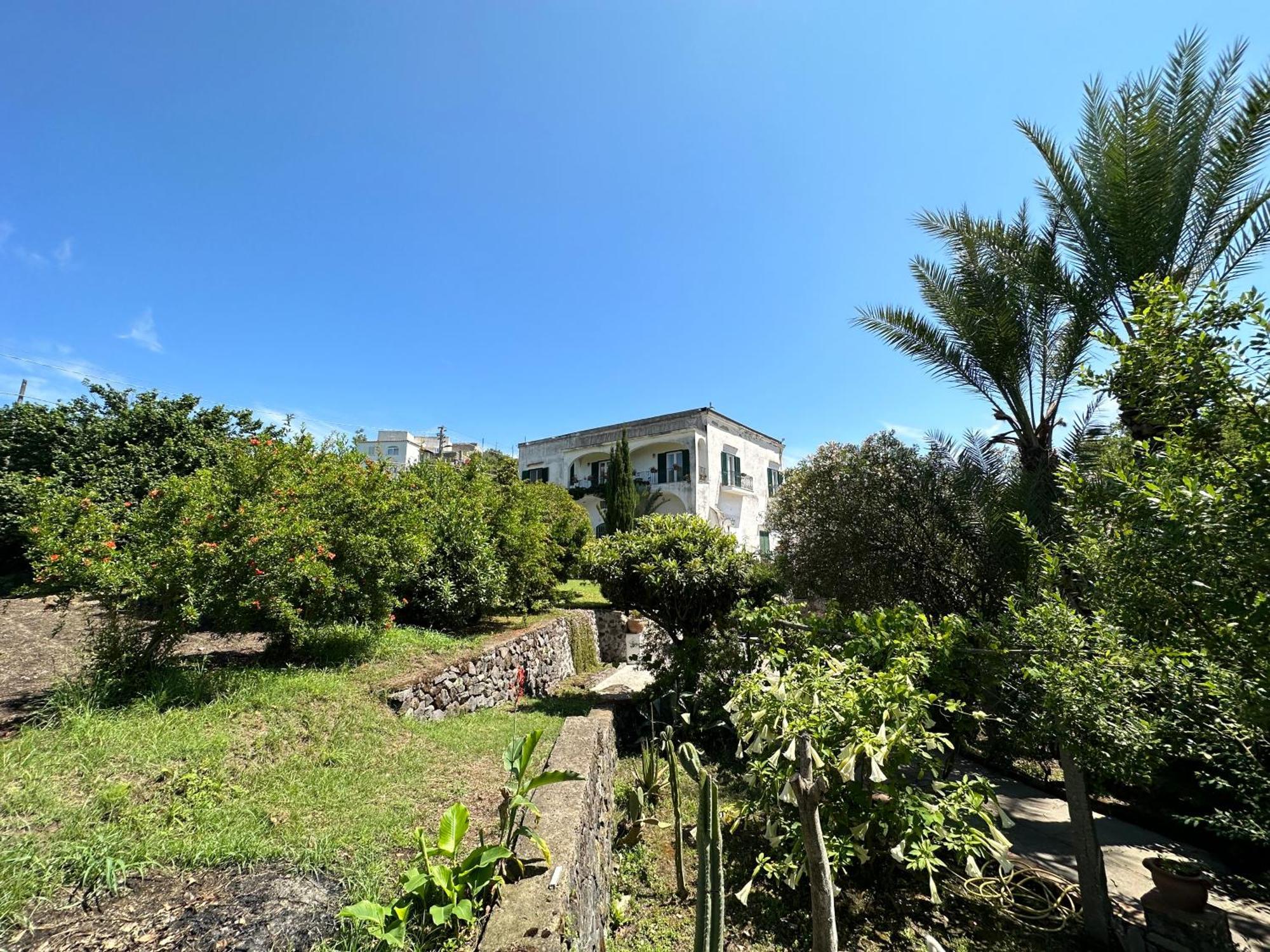 Villa Vincenzo Di Meglio Barano d'Ischia Екстер'єр фото