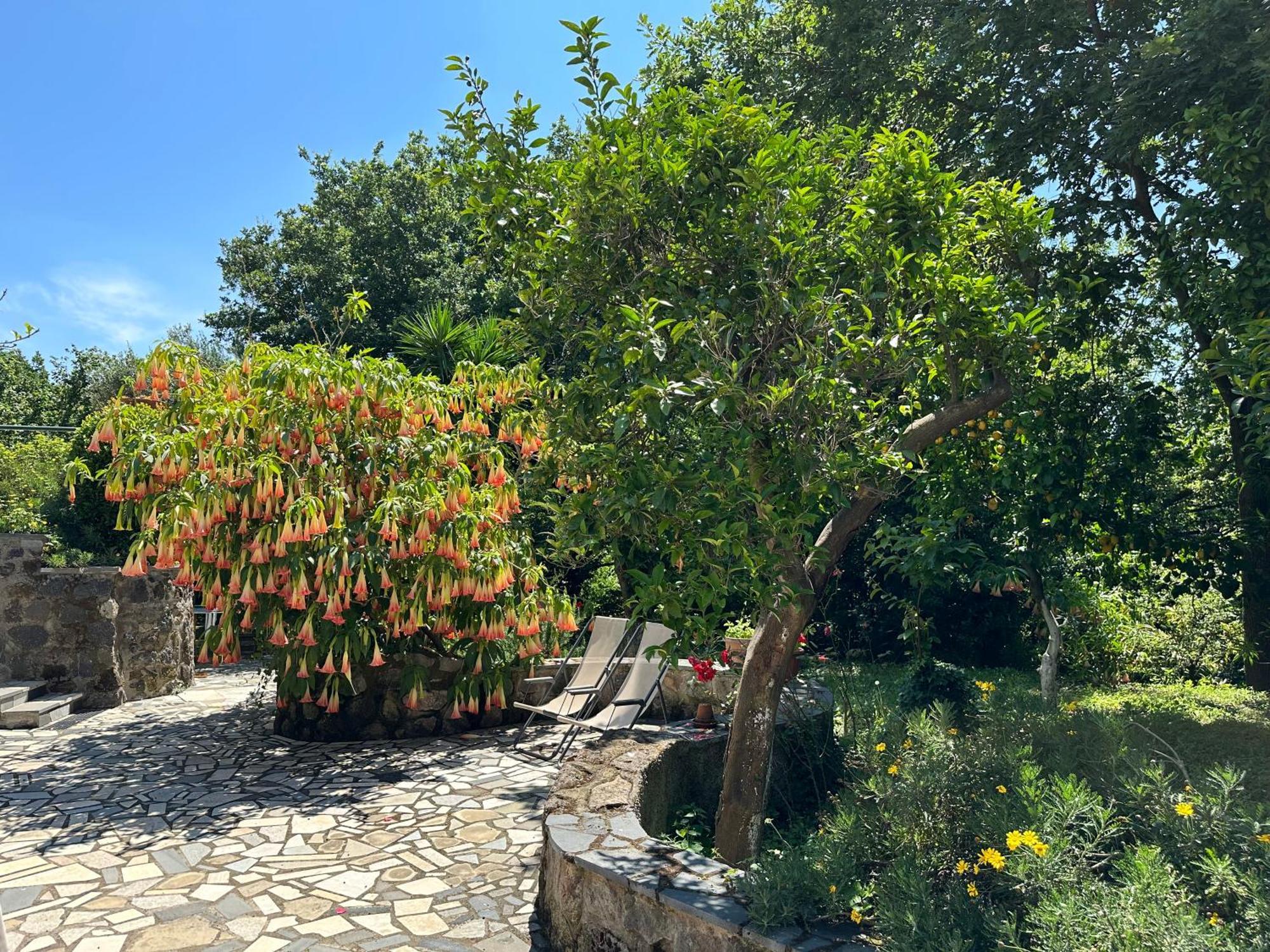 Villa Vincenzo Di Meglio Barano d'Ischia Екстер'єр фото