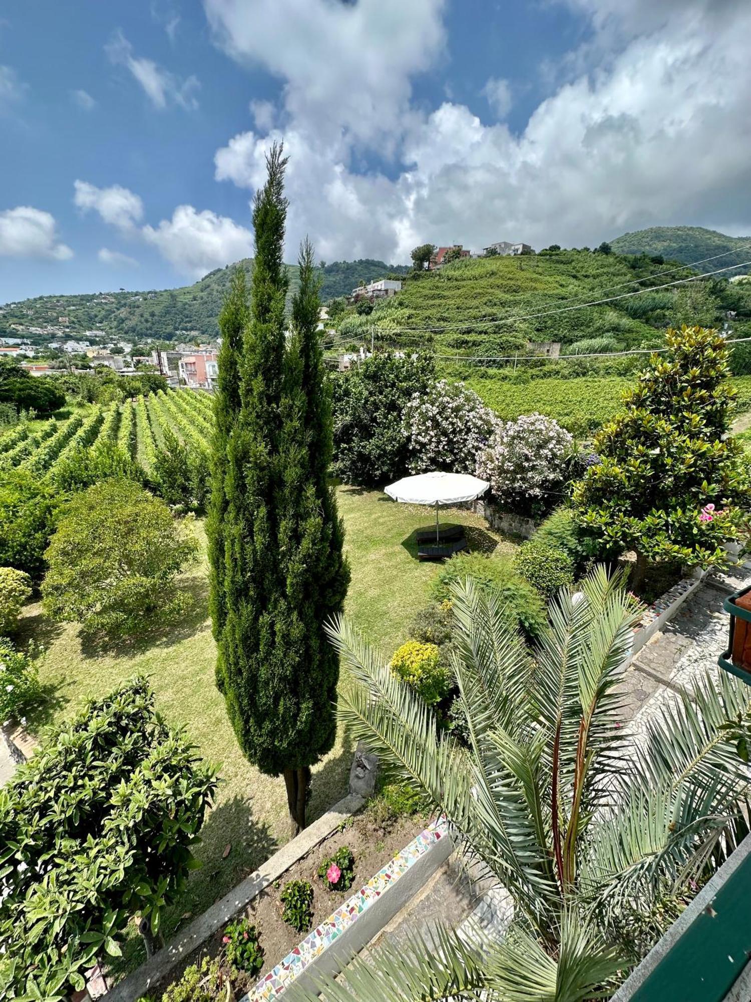 Villa Vincenzo Di Meglio Barano d'Ischia Екстер'єр фото