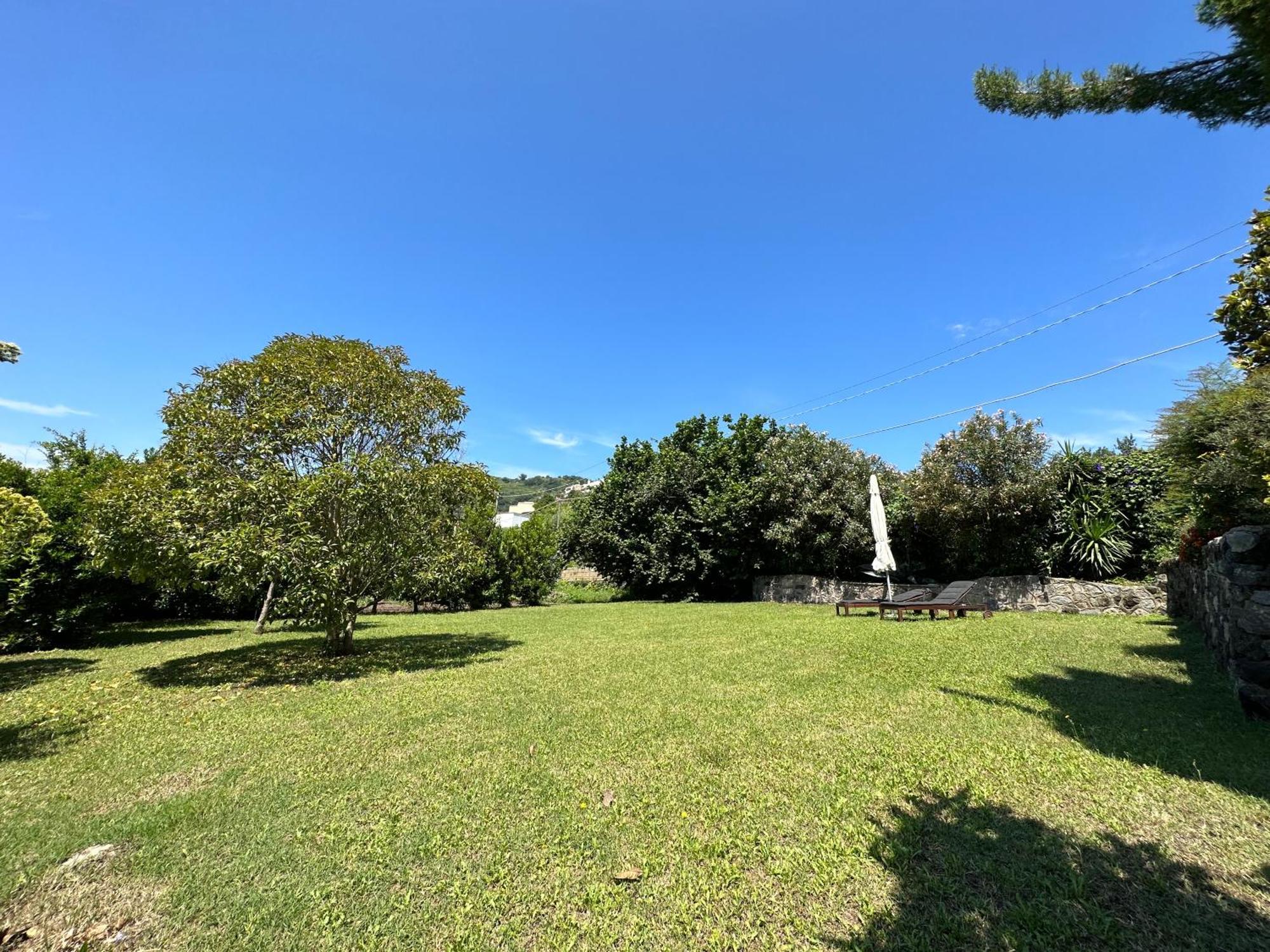 Villa Vincenzo Di Meglio Barano d'Ischia Екстер'єр фото