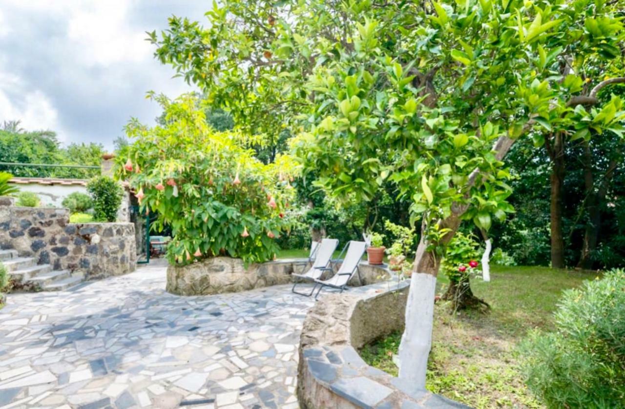 Villa Vincenzo Di Meglio Barano d'Ischia Екстер'єр фото