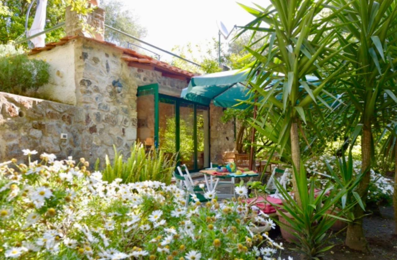 Villa Vincenzo Di Meglio Barano d'Ischia Екстер'єр фото