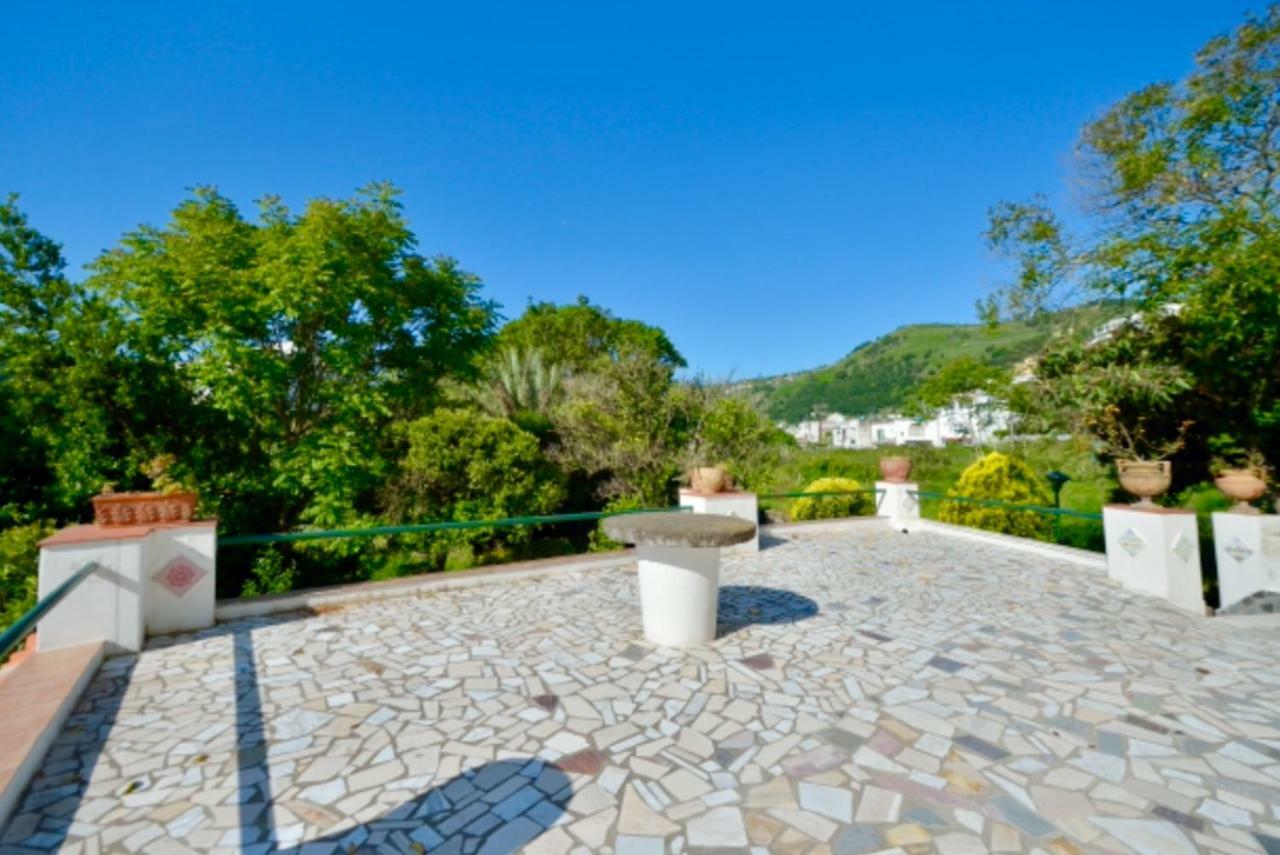 Villa Vincenzo Di Meglio Barano d'Ischia Екстер'єр фото